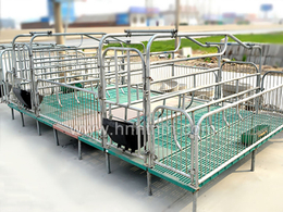 复合母猪产床-恒泰农牧设备(在线咨询)-母猪产床