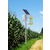 led太阳能路灯,山西玉展装饰公司,小区led太阳能路灯缩略图1