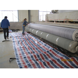 防水土垫(图)|*防水毯厂家|内蒙古防水毯