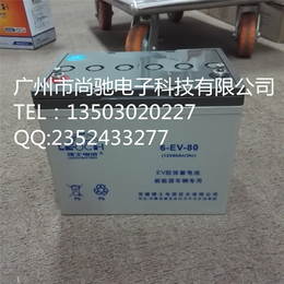 上海理士蓄电池|电动车*电瓶|理士蓄电池DJM12140
