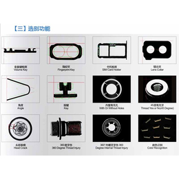 瑞科光学检测设备(在线咨询)-光电筛选机-光电筛选机品牌