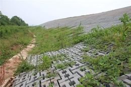 透水砖-透水砖厂-建菱彩砖(****商家)