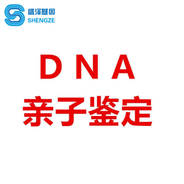 江门珠海东莞佛山DNA亲子鉴定的用途