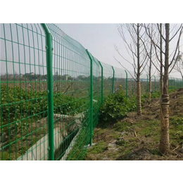 果园围栏-川迅丝网-新乡围栏