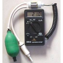氧分析仪 氧电****CY-12C便携式测氧仪