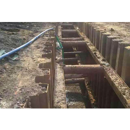 广西钢板桩围堰-山东泰亨(图)-钢板桩围堰施工方案