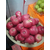 陕西洛川苹果礼盒,陕西洛川苹果,景盛果业(查看)缩略图1