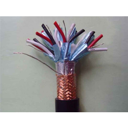 天康仪表集团(图)-耐高温电缆型号-浙江耐高温电缆