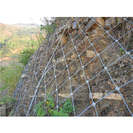 柔性防护网|中卫防护网|边坡网