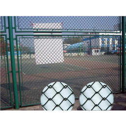 运动场围栏网*|六安运动场围栏网|河北华久