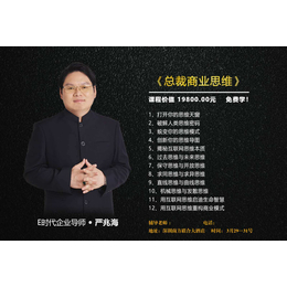 E时代企业导师严兆海总裁商业思维****学