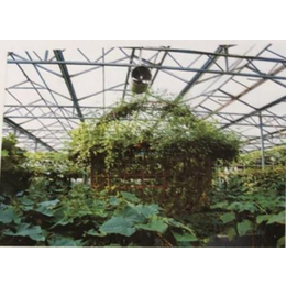 草莓无土栽培种植架|种植架|泰宇农业机械(查看)