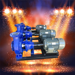 石保泵业|离心泵|IHF65-40-200离心泵