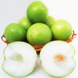 柳州苹果枣-满园香-苹果枣多少钱一斤