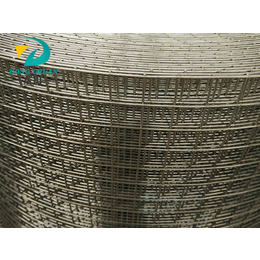 建筑电焊网现货、东川丝网(在线咨询)、赣州建筑电焊网