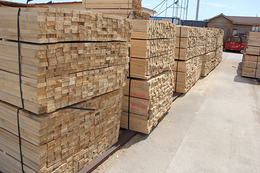 南洋杉建筑木方-名和沪中木业-南洋杉建筑木方采购