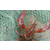 淡水小龙虾养殖技术|龙虾养殖|武汉农科大高科技公司(查看)缩略图1