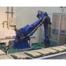 冲压机器人制造商|扬州冲压机器人|康鸿智能(查看)