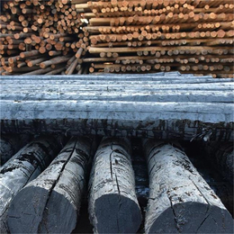 振华防腐材料(图),油木杆价格,拉萨油木杆