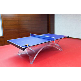 单折式乒乓球台制造_征途体育(在线咨询)_扬州乒乓球台
