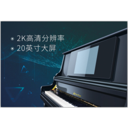 广州钢琴入门|马克西姆钢琴玩家|钢琴简单入门