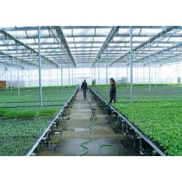 北京定做温室工程移动苗床生产厂家--华耀农业
