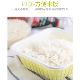 供应*方便米饭生产设备 营养米生产线 膳食人造米设备厂家