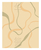 簇绒地毯厂家-华德地毯(在线咨询)-松原簇绒地毯缩略图1