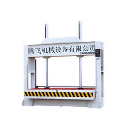 厂家*哦60T冷压机1.5m1.3m 可定制热压机 江苏