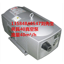 VE40真空泵 台湾欧乐霸EUROVAC真空泵 机械手气泵