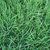 湖州绿化边坡防护护坡植物纤维毯植生毯缩略图1