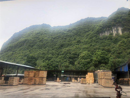 膜压板材-黄陂五洲建材城板材-融水新林木业