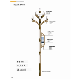 四川玉兰灯丨景观灯丨供应商缩略图