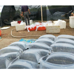 台湾泥鳅苗多少钱一斤- 乾发专注泥鳅养殖-威海台湾泥鳅苗