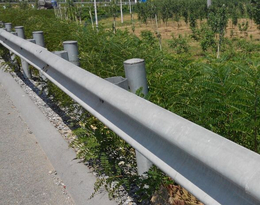 丽江高速公路护栏-通程护栏板网-****生产高速公路护栏网