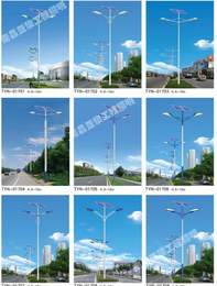 亚黎LED路灯安装(图)-乡村太阳能路灯-漳州太阳能路灯