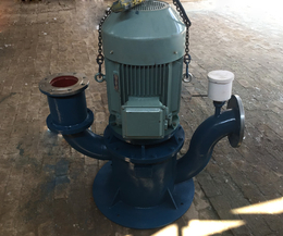 立式自吸泵型号-伊春自吸泵-125WFB-A自吸泵