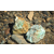 佛山市矿石元素检测-矿石成分检测-矿石鉴定-精美检测缩略图3