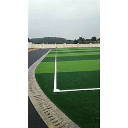 宁波市人造草坪、辉跃体育设施有限公司(在线咨询)、人造草坪