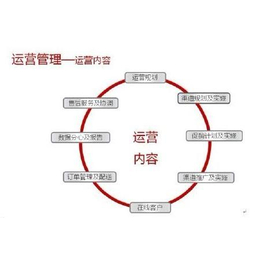 长沙天猫代运营衡阳拼多多代运营株洲京东代运营湘潭淘宝代运营缩略图