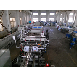 威尔塑料机械(图)|格子板生产线厂家|格子板生产线