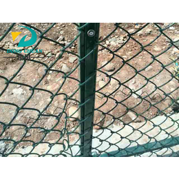 球场护栏网安装,球场护栏网,东川丝网