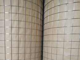 黑丝电焊网-润标丝网-黑丝电焊网生产