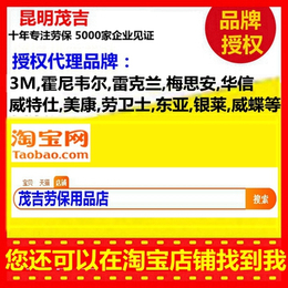 云南玉溪梅思安单一型气体检测仪批发价_昆明茂吉