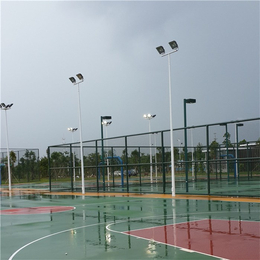 辉跃体育设施有限公司(图)、宜春市球场灯柱、球场灯柱