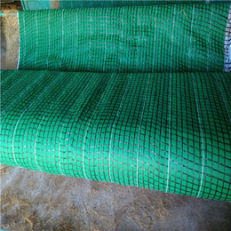 临汾生产河道*冲生物毯 植物纤维毯 边坡防护绿化 快速成坪