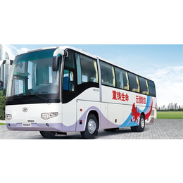 金龙客车32座、龙源泰兴汽车(在线咨询)、朝阳金龙客车
