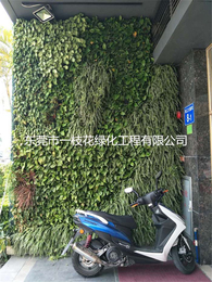 四川创意植物墙-一枝花绿化-创意植物墙厂家
