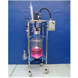 玻璃反应釜类型,玻璃反应釜,南京炳辉仪器仪表公司
