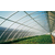 泰安耐力板 生态阳光板温室大棚缩略图1